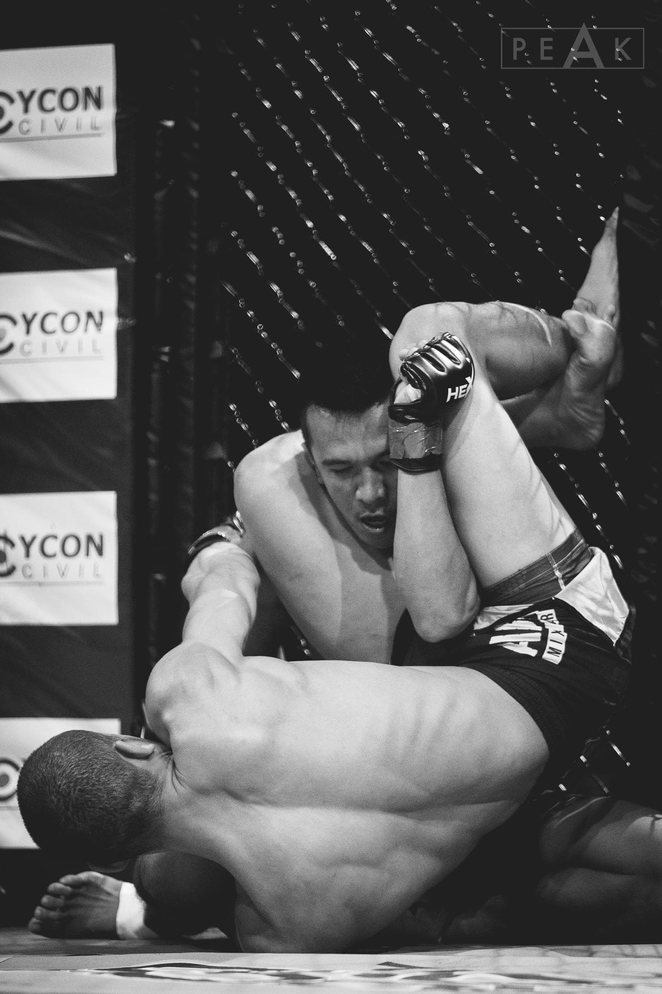 Brazilian Jiu-Jitsu