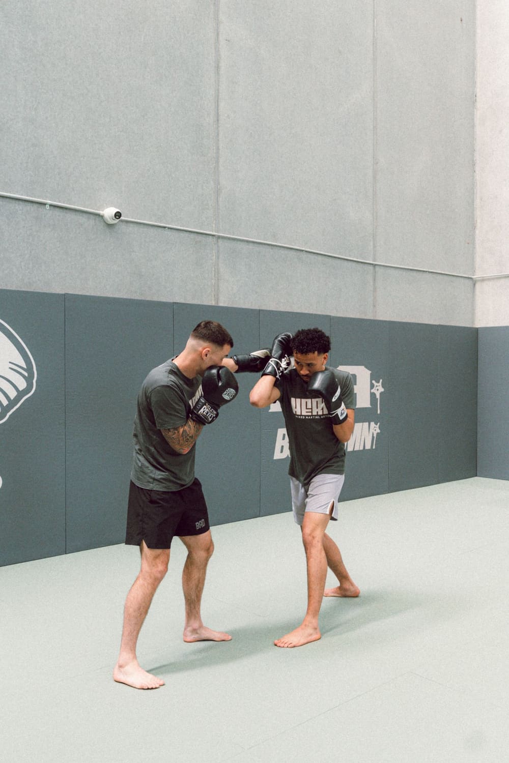 Clinch & Pads