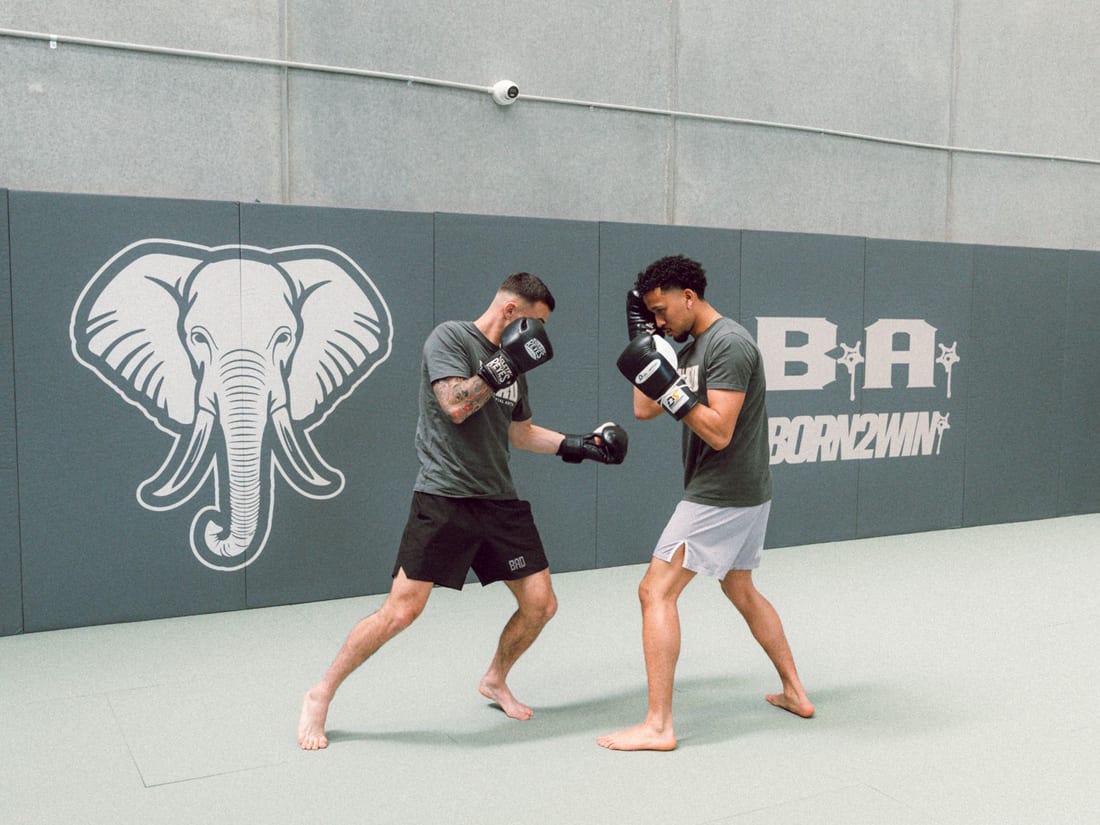 MMA Striking